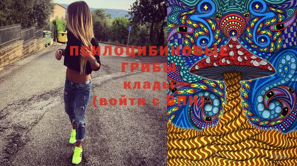 бошки Абинск