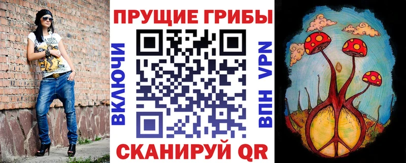 закладка  Назрань  ссылка на мегу вход  Псилоцибиновые грибы ЛСД 