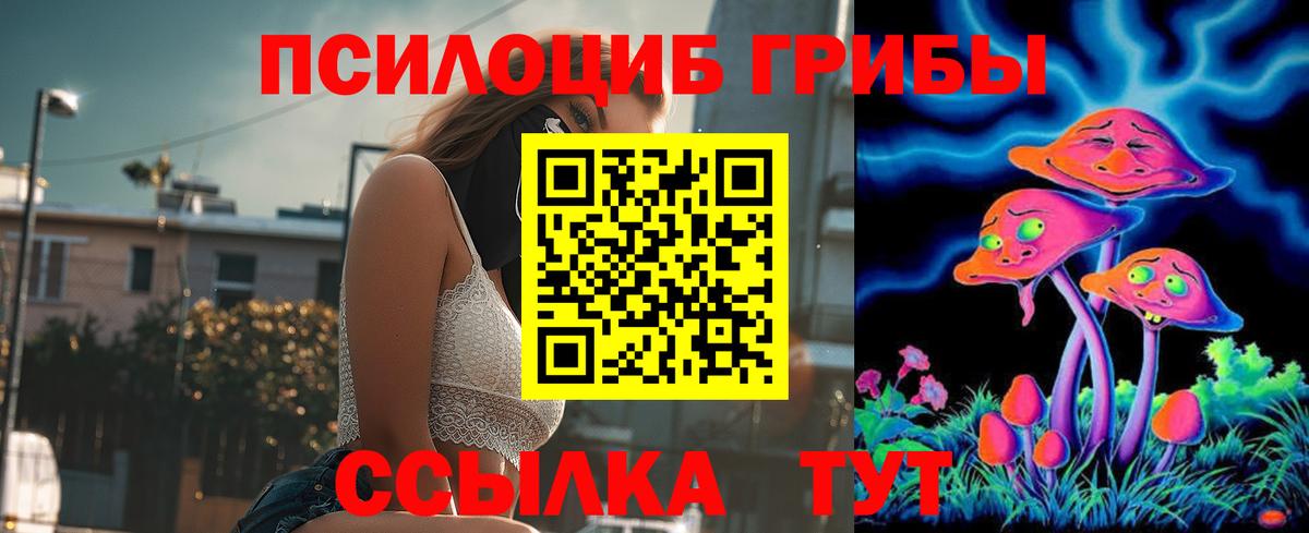Галлюциногенные грибы Psilocybine cubensis  Вход с VPN  закладка  Псилоцибиновые грибы прущие грибы  Назрань 